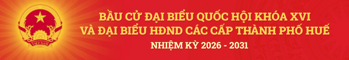VĂN BẢN PHÁP LUẬT VỀ BẦU CỬ